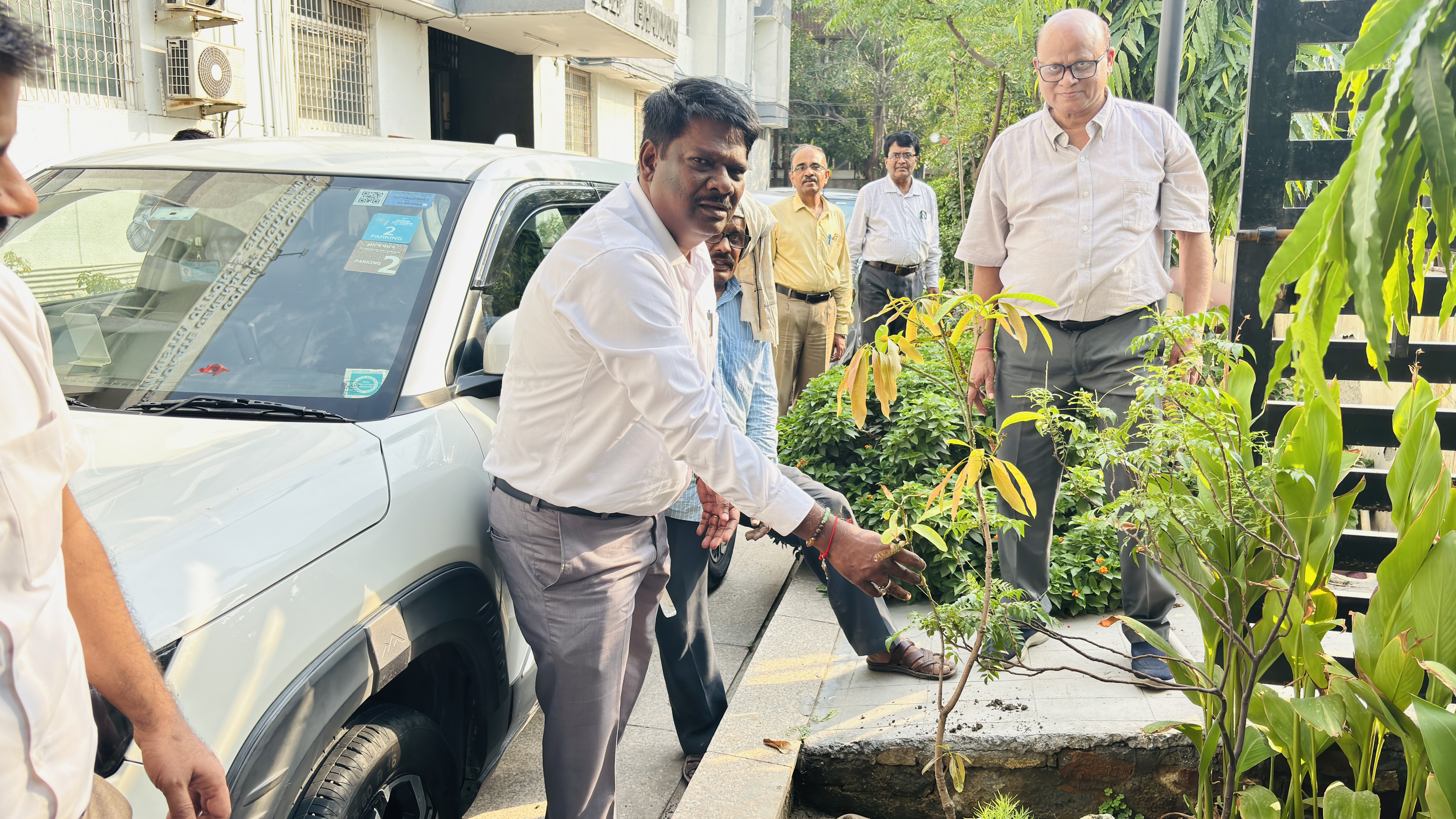 Dgll Plants trees on World Environment Day