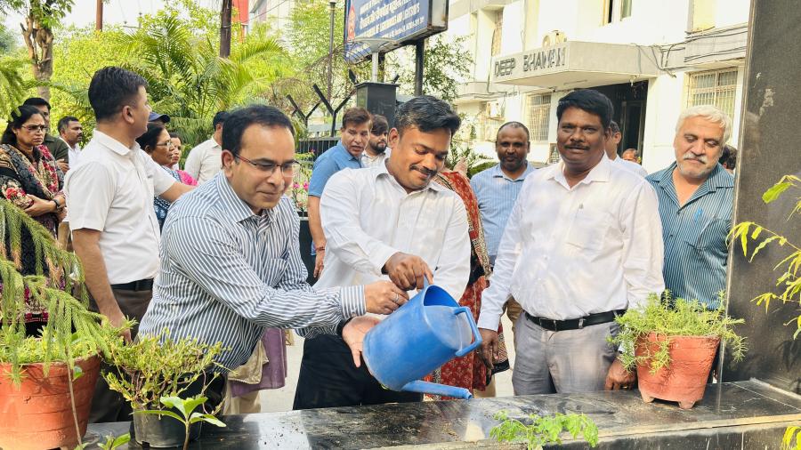 Dgll Plants trees on World Environment Day  