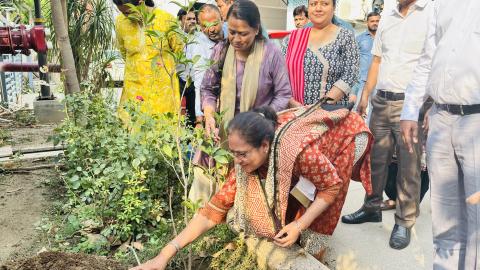 Dgll Plants trees on World Environment Day  