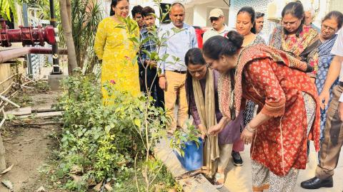 Dgll Plants trees on World Environment Day  