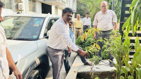 Dgll Plants trees on World Environment Day  