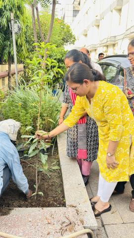 Dgll Plants trees on World Environment Day  