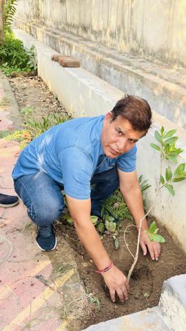 Dgll Plants trees on World Environment Day  
