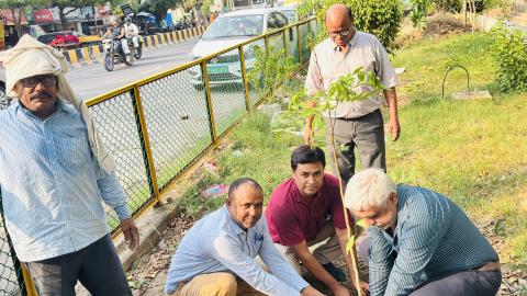 Dgll Plants trees on World Environment Day  